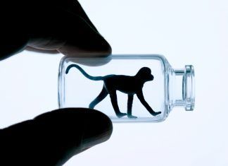 Vivotecnia podrá seguir experimentando con animales Vivotecnia
