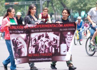 Activismo de acción directa Activismo de acción directa