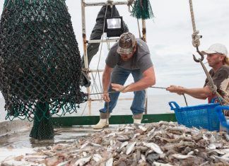 La incómoda verdad sobre la pesca La incómoda verdad sobre la pesca