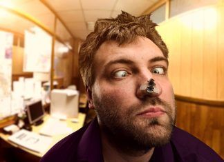 Cómo tratar con mosquitos y cucarachas Cómo tratar con mosquitos y cucarachas