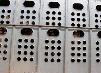 INTERcids reclama medidas que conduzcan a la desaparición del transporte de animales vivos INTERcids reclama medidas que conduzcan a la desaparición del transporte de animales vivos