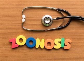 ¿Qué es la zoonosis? Zoonosis
