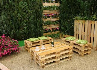 Interiorismo sin sufrimiento animal: las claves de una decoración vegana