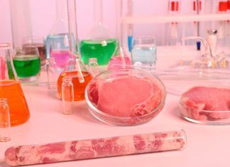 ¿Existe el Veganwashing, o el «lavado de cara vegano»?