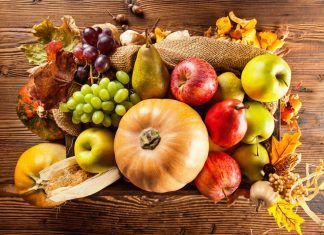 El Escaparate Vegano, Noviembre 2025