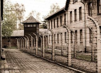 Reflexiones sobre el concepto “Holocausto animal” Reflexiones sobre el concepto “Holocausto animal”