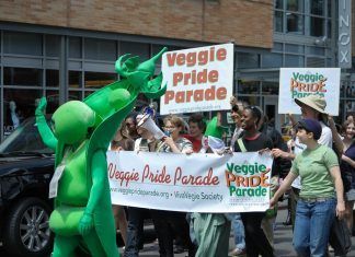 Veganismo: del activismo civil a la política