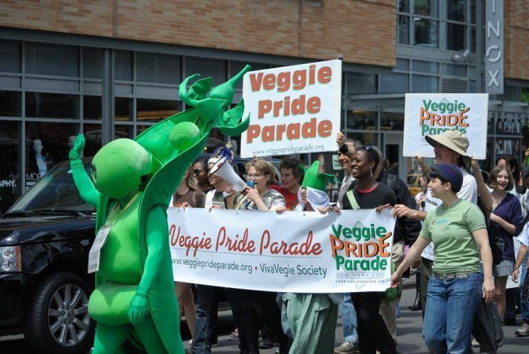 Veganismo: del activismo civil a la política