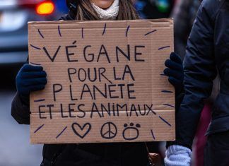 ¿Cuántos tipos de veganos hay?