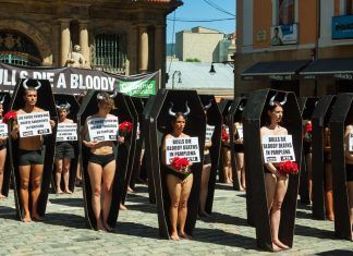 Historia del Movimiento Antitaurino en España movimiento antitaurino