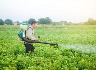 El impacto de la agricultura en la vida silvestre agricultura vida silvestre