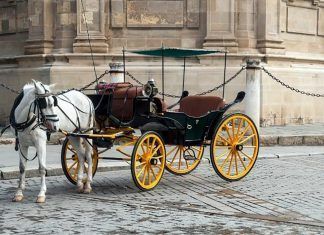 Palma de Mallorca prohibirá las galeras tiradas por caballos en 2024
