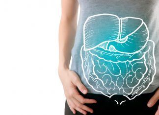 Probióticos y prebióticos ¿sabemos diferenciarlos? ¿Qué son? Probióticos y prebióticos