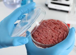 La carne cultivada y los problemas legales de su etiquetado carne cultivada