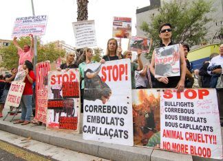 Historia del veganismo en España (II): De la transición a la democracia a nuestros días