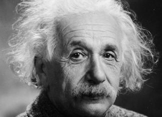 Celebridades vegetarianas en la historia del pensamiento occidental