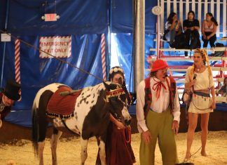 Por qué también deberían prohibirse los animales domésticos en los circos circo