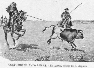 Acoso y derribo Acoso y derribo