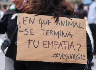 La portería vegana. ¿Necesaria o molesta?