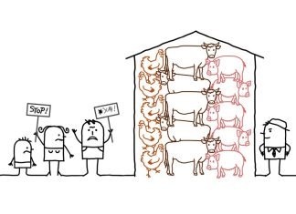 El primer desafío legal contra un gobierno para acabar con la agricultura animal intensiva agricultura animal intensiva