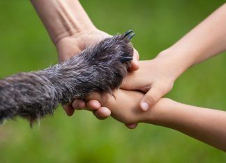 Cómo educar niños veganos en un mundo especista educar niños veganos