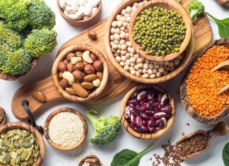 ¿Cuáles son las mejores fuentes de proteína vegetal?