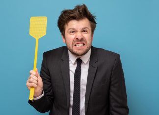 Defendiendo las moscas y los mosquitos al estilo vegano moscas y mosquitos
