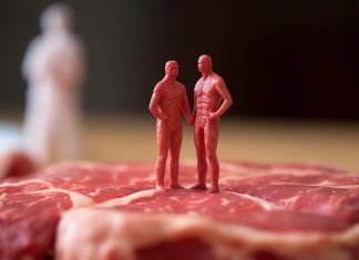 La evolución de la carne cultivada carne cultivada