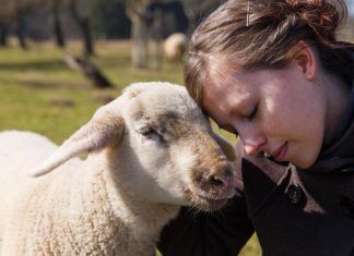 El sintiencismo, la intersección entre el veganismo y el naturalismo sintiencismo
