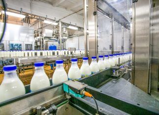 ¿Desaparecerá la industria láctea en 10 años? El auge de las alternativas vegetales industria láctea