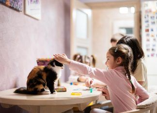 El especismo en la infancia: cómo educar hacia una mentalidad libre de discriminación animal especismo en la infancia