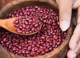 Nutrientes limitantes en la dieta vegana Nutrientes limitantes
