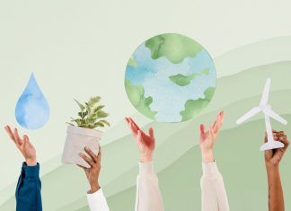 EcológicoSostenible, la red social que teje redes verdes para un futuro sostenible