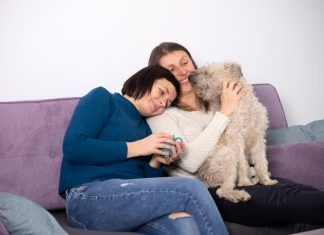 Terapia asistida con animales Terapia asistida con animales