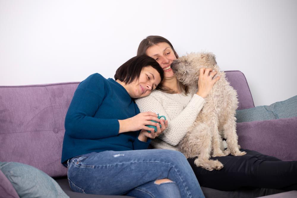 Terapia asistida con animales