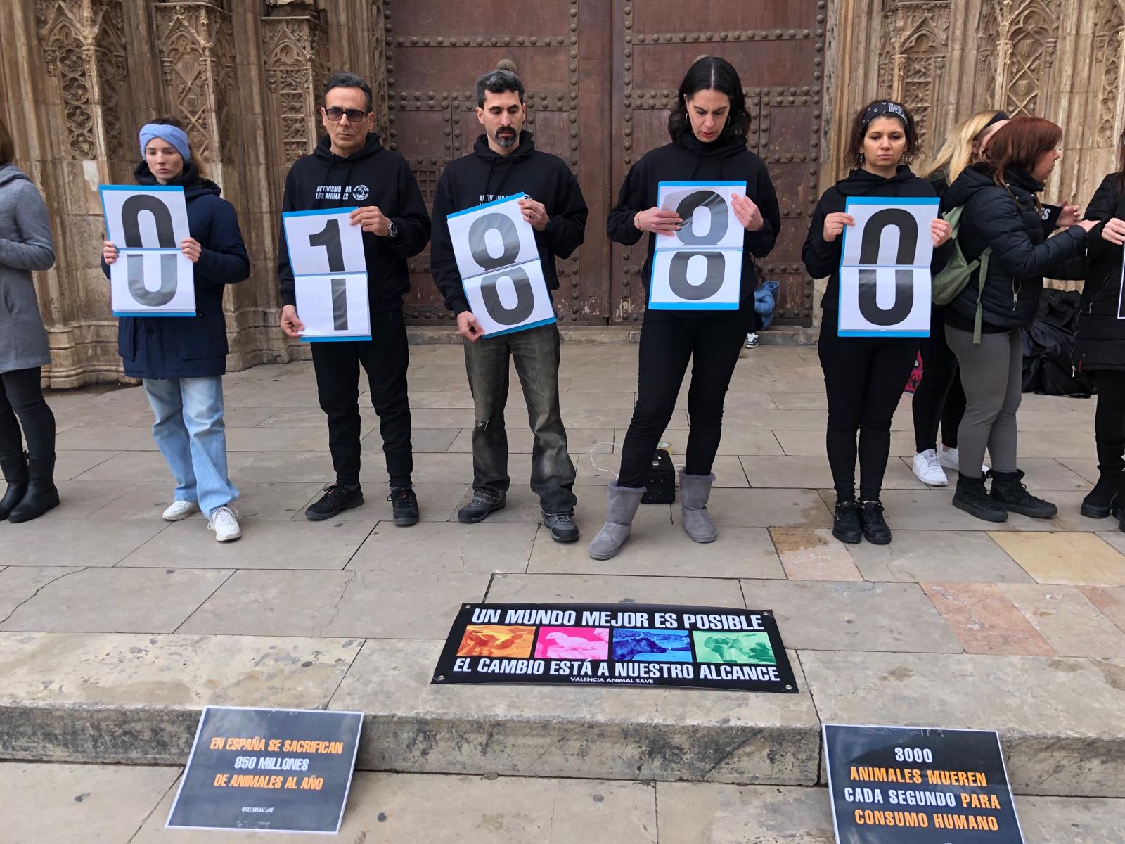 Valencia Animal Save