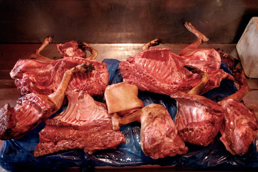 carne de perro 