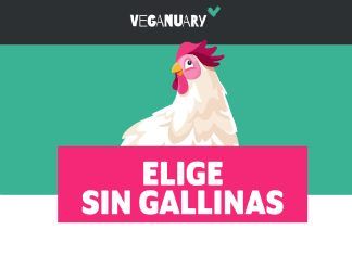 Campaña «Elige Sin Gallinas» invita a probar productos alternativos al pollo disponibles en el mercado Elige Sin Gallinas
