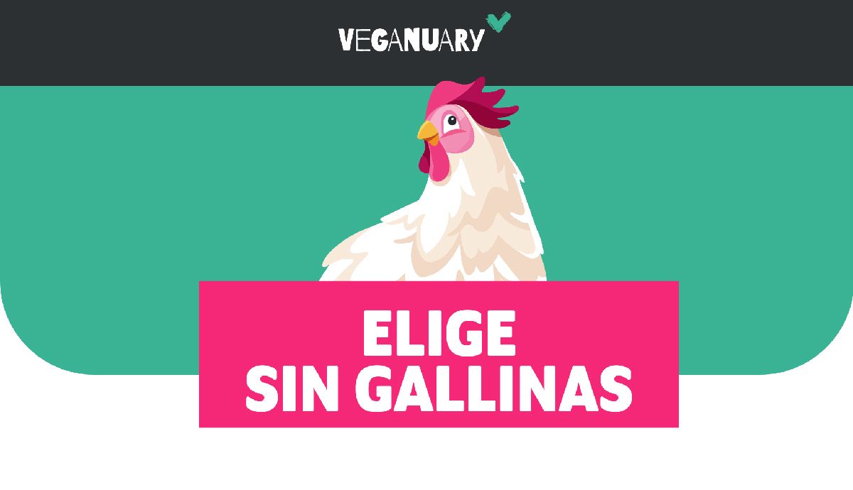 Elige Sin Gallinas