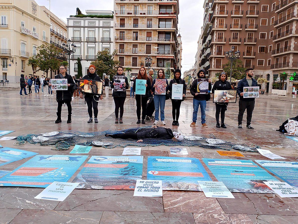 València Animal Save