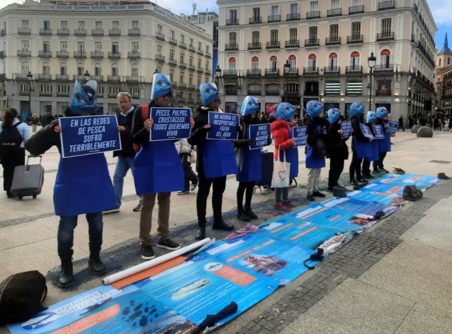Madrid Animal Save