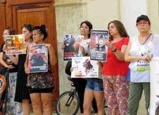 La plataforma antitaurina de Alfafar pide al alcalde que no autorice nuevos «festejos» plataforma antitaurina de Alfafar