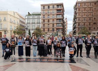 Realizan una línea silenciosa en Valencia por las víctimas de la experimentación con animales línea silenciosa