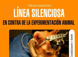 València Animal Save reivindica el fin de la experimentación con animales
