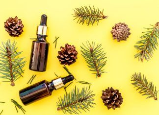 Aceites esenciales y aceites vegetales: ¿en qué se diferencian? Aceites esenciales y aceites vegetales