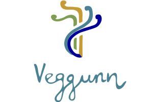 veggunn