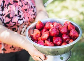 ¿Fatiga primaveral o «curas» de primavera? Fatiga primaveral