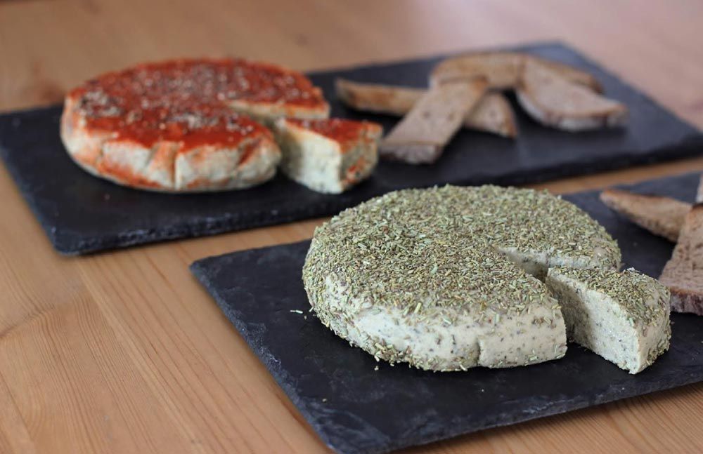 Quesos veganos de anacardos