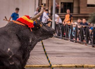 La plataforma antitaurina de Alfafar valora positivamente que el premio nacional de tauromaquia sea eliminado premio nacional de tauromaquia