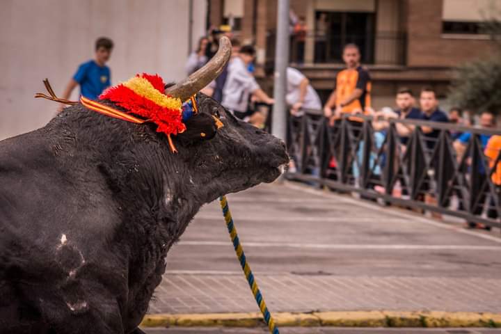 premio nacional de tauromaquia